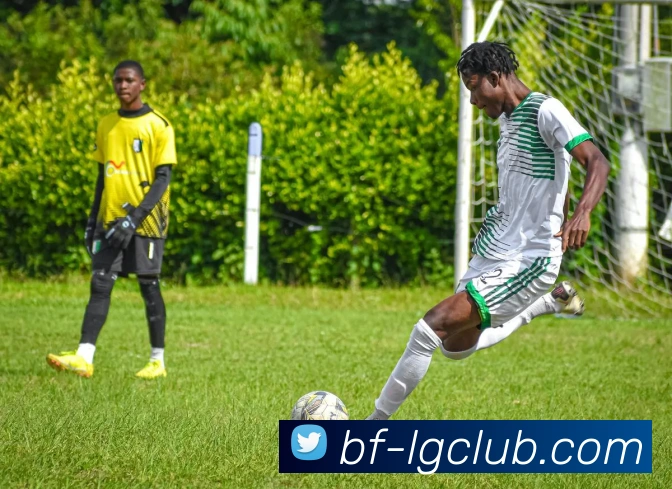 App Interface Preview